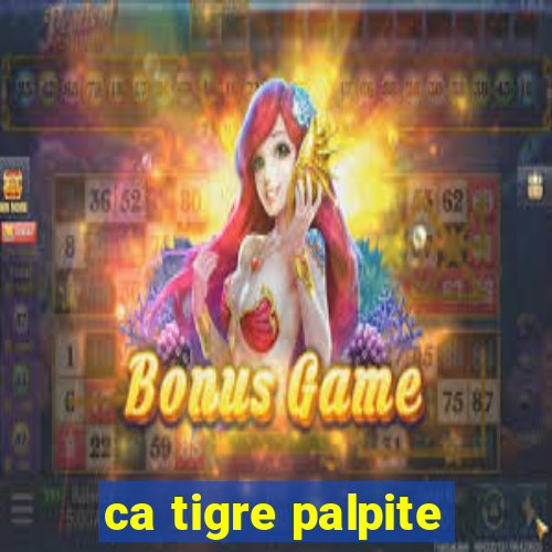 ca tigre palpite